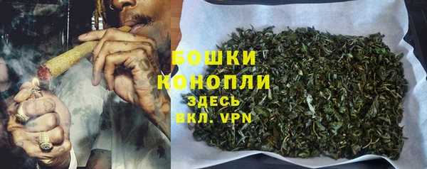 ГАЛЛЮЦИНОГЕННЫЕ ГРИБЫ Волосово